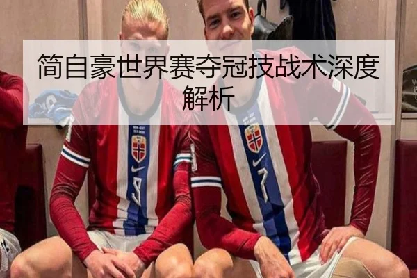 简自豪世界赛夺冠技战术深度解析